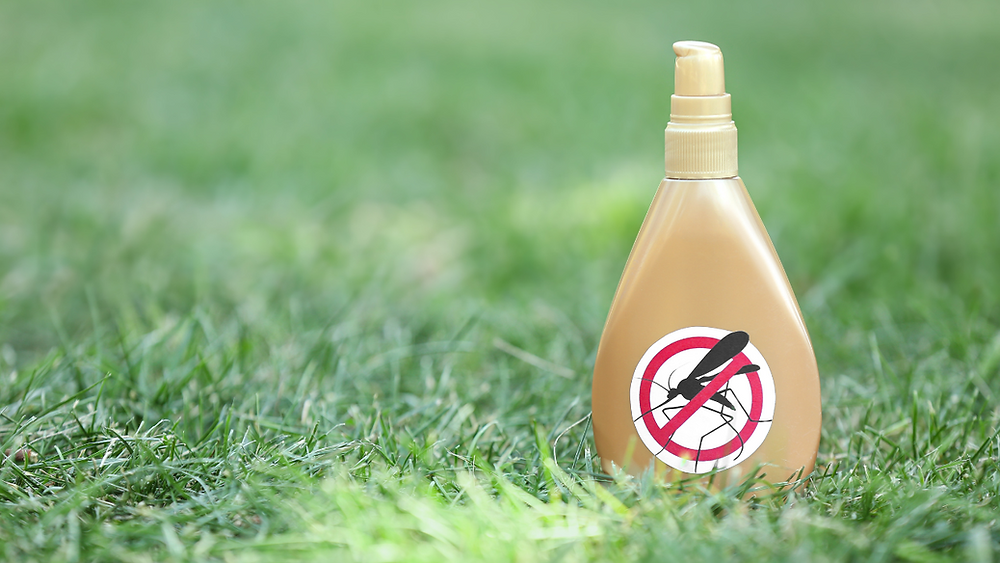 Herbal Relief That Actually Works