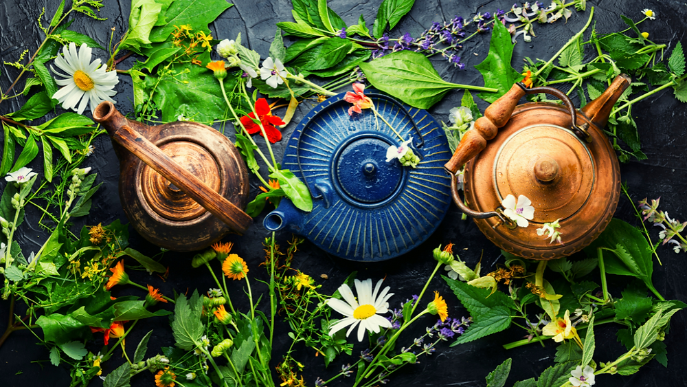 What It Really Means to Be a Biblical Herbalist