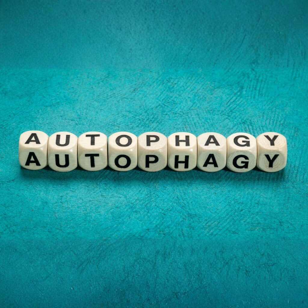 What Science—and Animal Studies—Really Say Abou – SET FOR SET