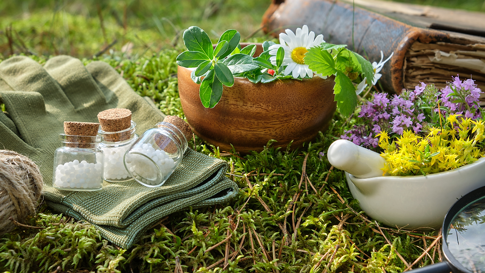 Where Do Herbalists Work? 9 Real Jobs You Can Get With Herbal Training