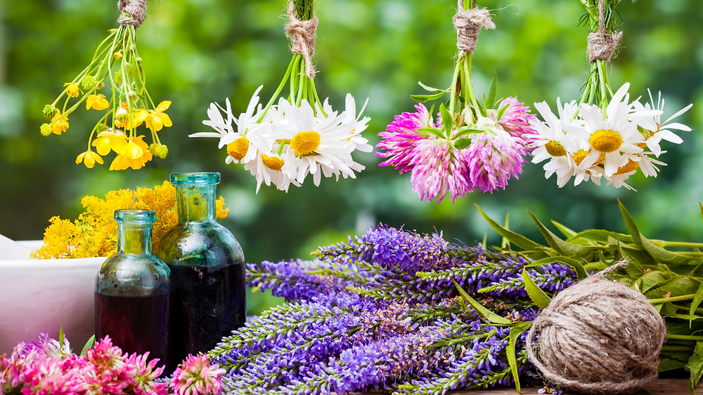 What Makes a Good Clinical Herbalist?