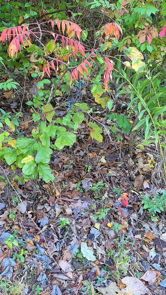 Building a Generation That’s Built Different