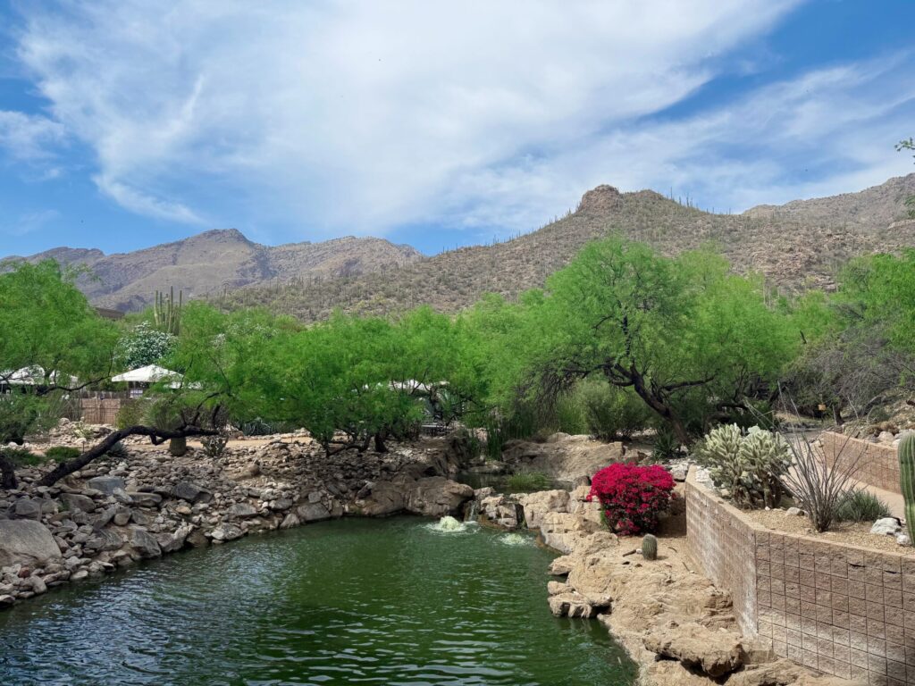 4.3 Friday Faves – The Fitnessista