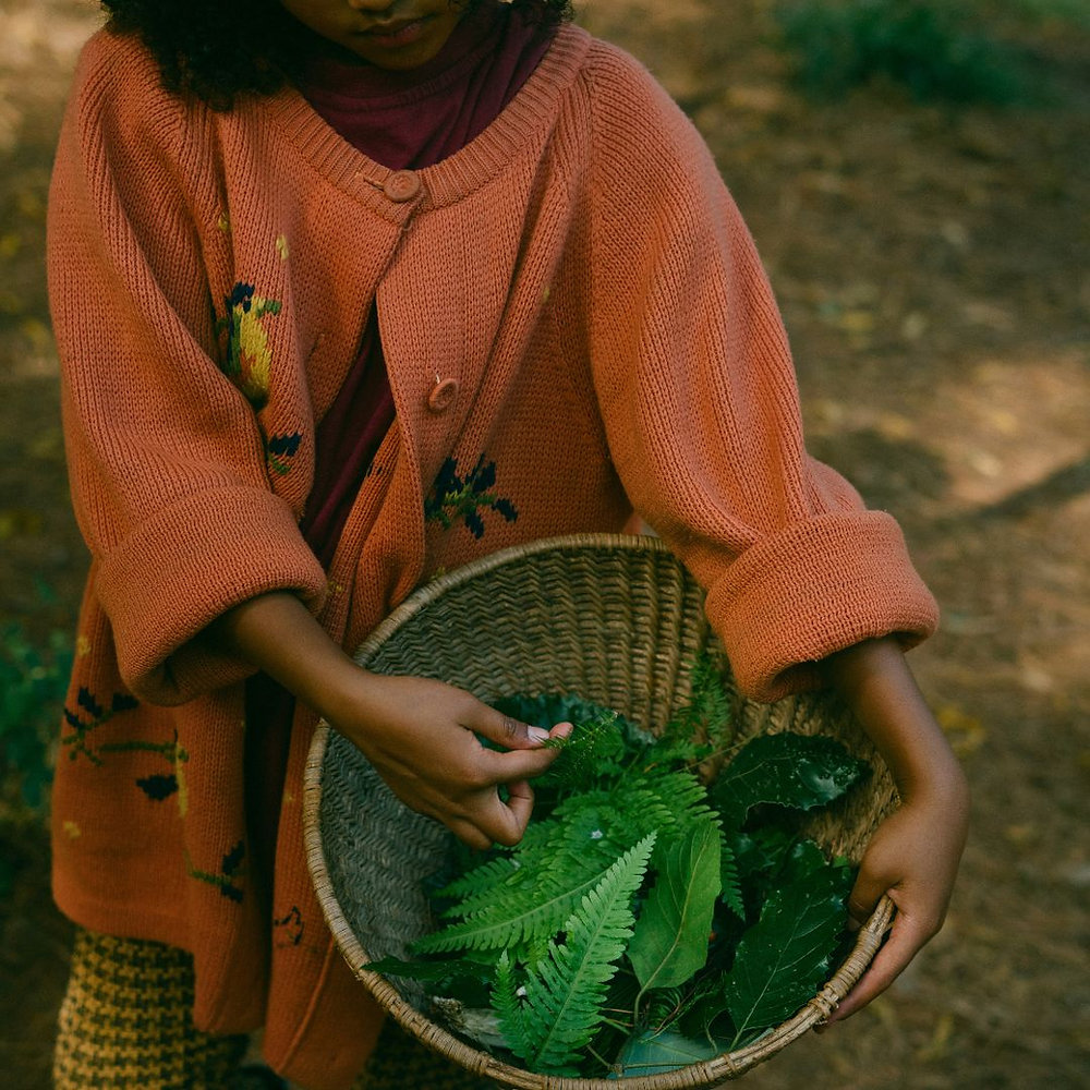 How to Teach Your Children Herbalism (Even If You’re Still Learning Yourself)