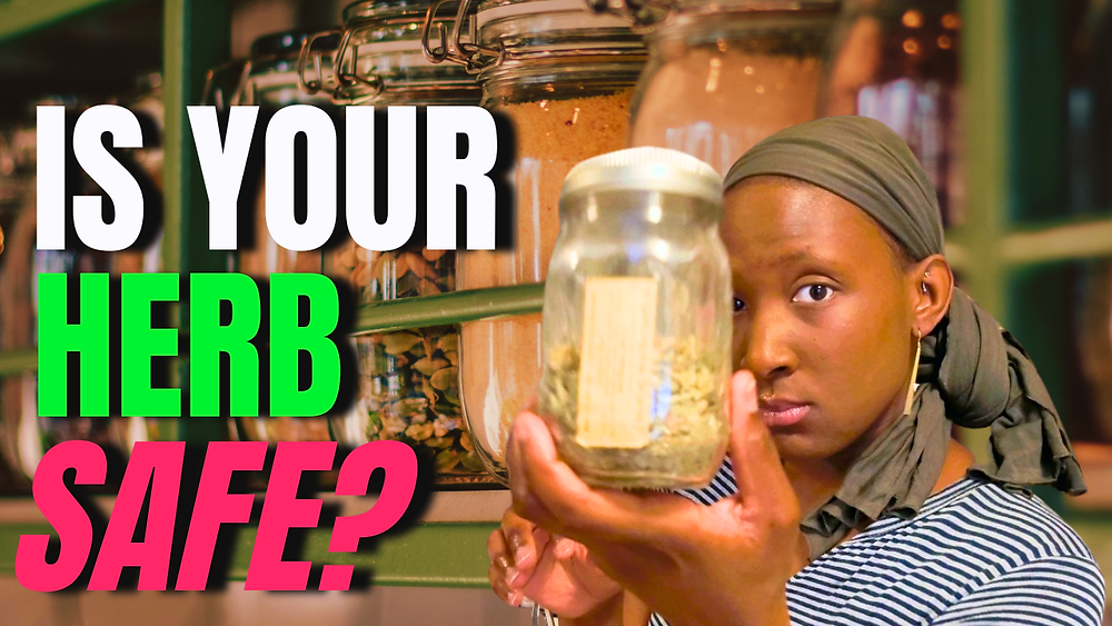 Are Herbs Safe? What Beginners Should Know