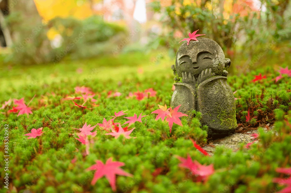 Garden Meditation: A Simple Outdoor Practice for Presence and Awe
